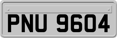 PNU9604
