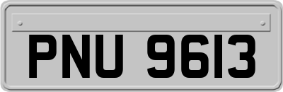 PNU9613