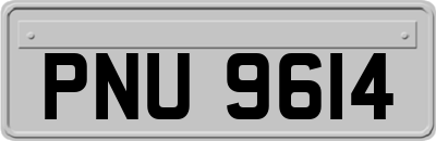 PNU9614