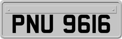 PNU9616