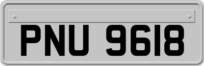 PNU9618