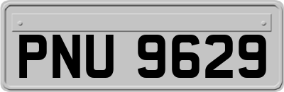 PNU9629