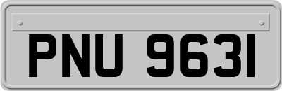 PNU9631