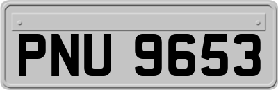 PNU9653