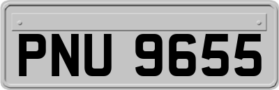 PNU9655