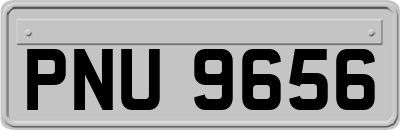 PNU9656