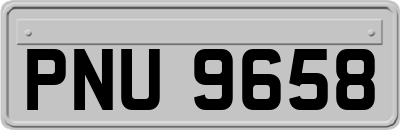 PNU9658
