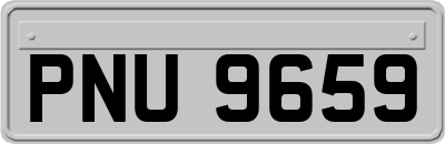 PNU9659
