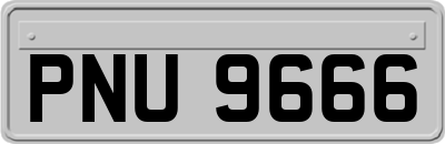 PNU9666
