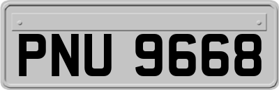 PNU9668