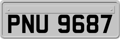 PNU9687