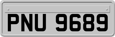 PNU9689