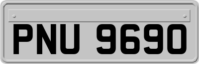 PNU9690