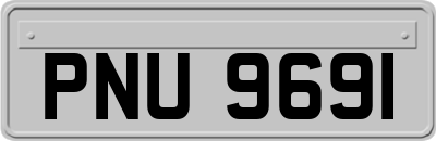 PNU9691