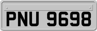 PNU9698