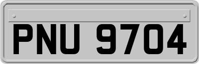 PNU9704