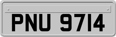 PNU9714