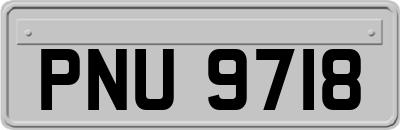 PNU9718