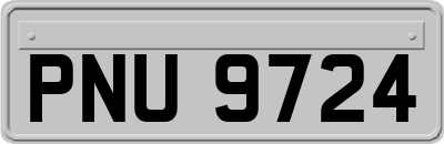 PNU9724