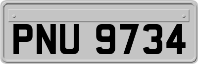 PNU9734