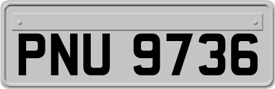 PNU9736