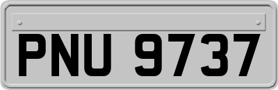 PNU9737