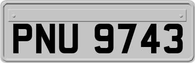 PNU9743