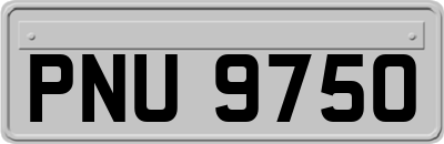 PNU9750