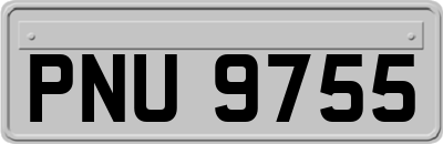PNU9755