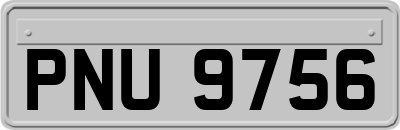 PNU9756