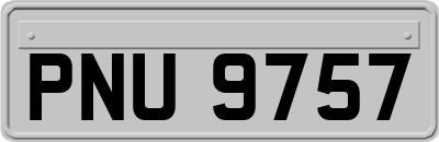 PNU9757