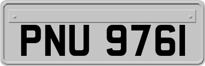 PNU9761
