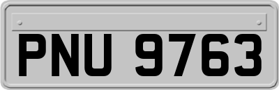 PNU9763