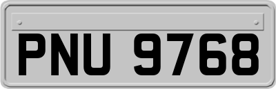 PNU9768