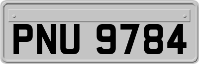 PNU9784