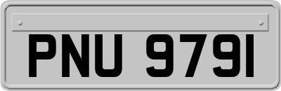 PNU9791