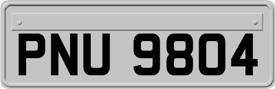 PNU9804