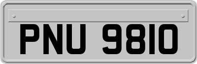 PNU9810