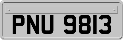 PNU9813