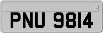 PNU9814