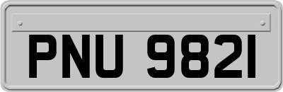 PNU9821