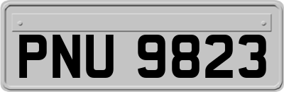 PNU9823