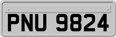 PNU9824