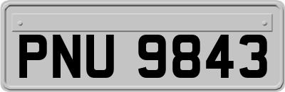 PNU9843
