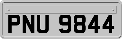 PNU9844
