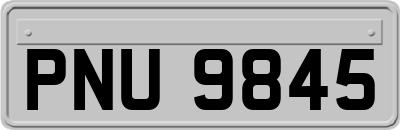 PNU9845
