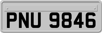 PNU9846