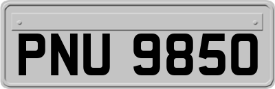 PNU9850