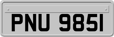 PNU9851