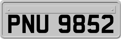 PNU9852